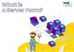 سرور فارم (server farm) و خوشه سرور (Server Cluster)