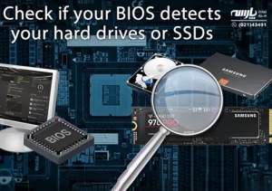 هارد در بایوس